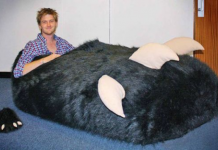 A maior pantufa do mundo