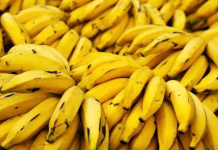 20 fatos impressionantes sobre bananas