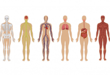 Algumas falhas do corpo humano que você nunca deu conta que possuía
