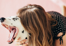 Cães são treinados para detectar pessoas infectadas pelo Corona