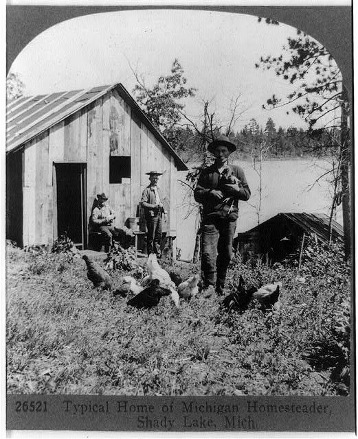One side of a stereograph image shows homesteaders in Michigan.