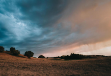 Como soluções baseadas na natureza podem nos ajudar a enfrentar as crises climáticas