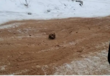Rússia descobre a ‘estrada dos ossos’ em rodovia congelada na Sibéria