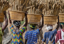 Uma grande migração de genes africanos