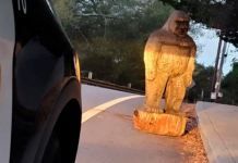 Estátua roubada do pé-grande encontrada ao longo da estrada