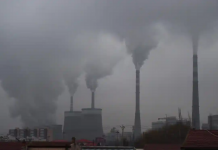 Crise climática: CO2 bate novo recorde apesar dos bloqueios da Covid-19