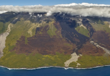 Fluxos de lava contam histórias de perda de biodiversidade