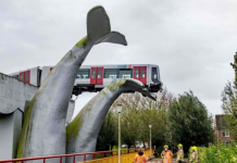 Escultura de baleia atropela trem do metrô holandês