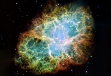 Supernovas distantes causaram mudança climática na Terra, de acordo com anéis de árvores