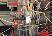 A técnica de ‘religação’ do micróbio promete um boom na biofabricação